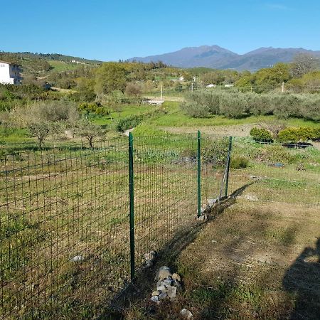 Villetta nel Verde Ascea Esterno foto