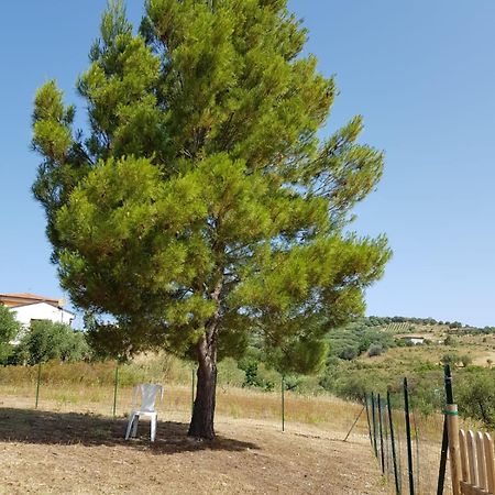 Villetta nel Verde Ascea Esterno foto