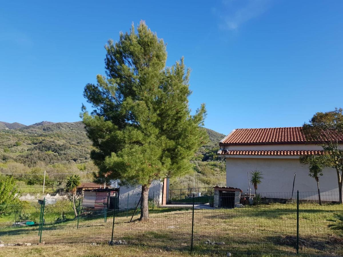 Villetta nel Verde Ascea Esterno foto