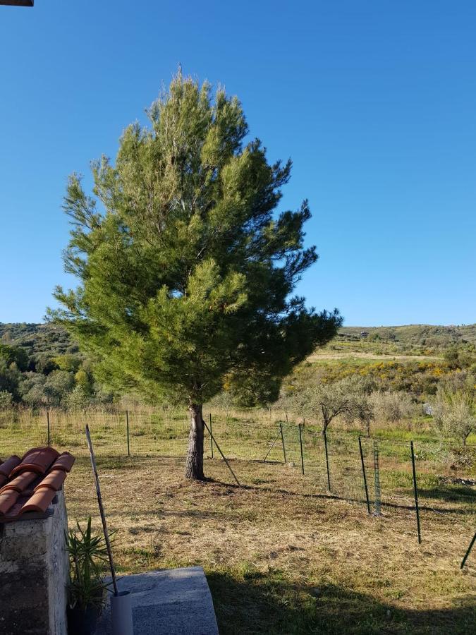 Villetta nel Verde Ascea Esterno foto