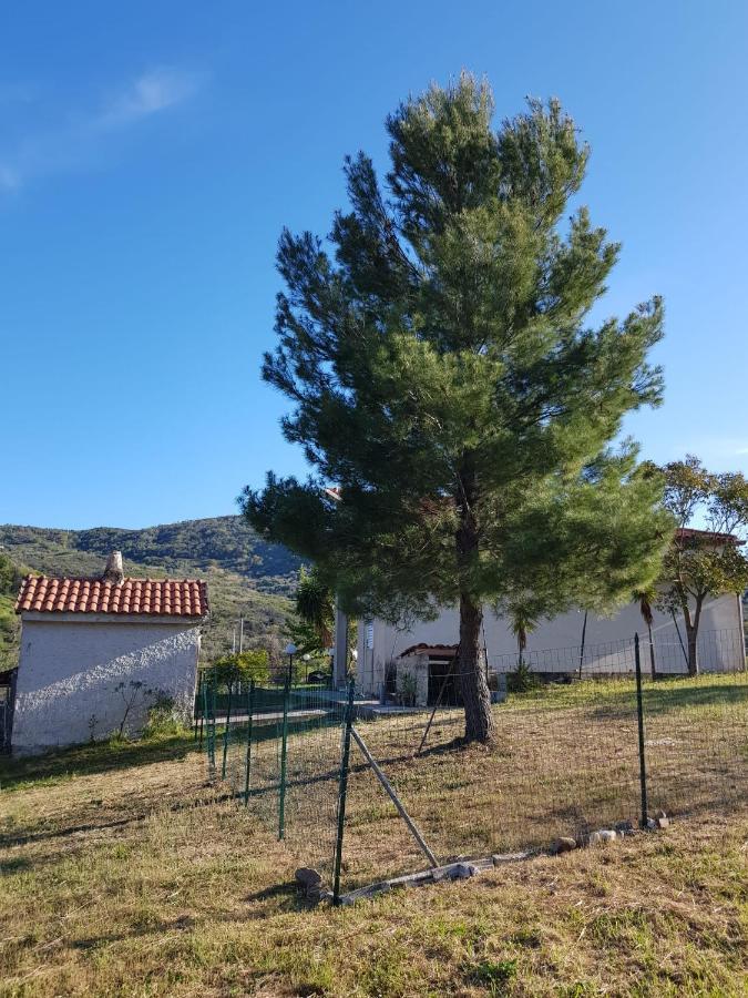 Villetta nel Verde Ascea Esterno foto