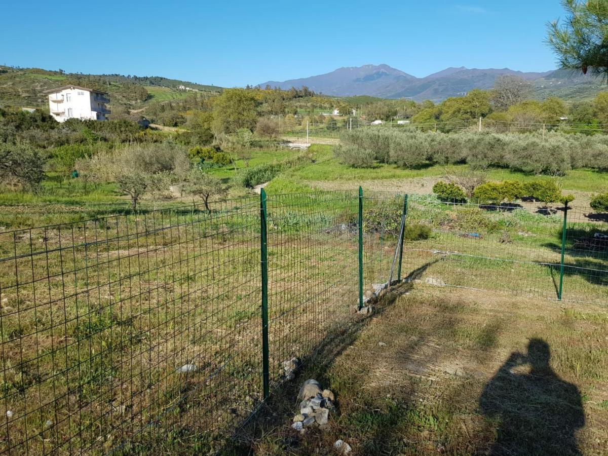 Villetta nel Verde Ascea Esterno foto
