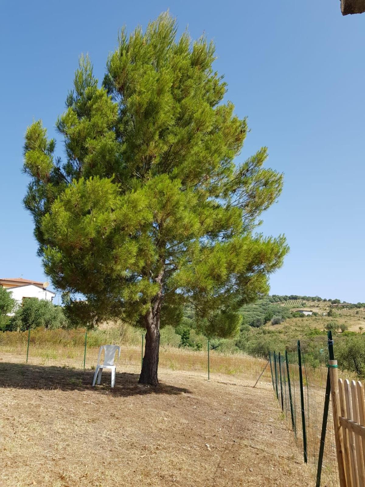 Villetta nel Verde Ascea Esterno foto